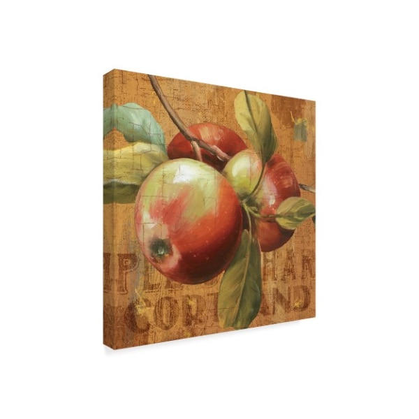 Lisa Audit 'Apple Season I' Canvas Art,24x24